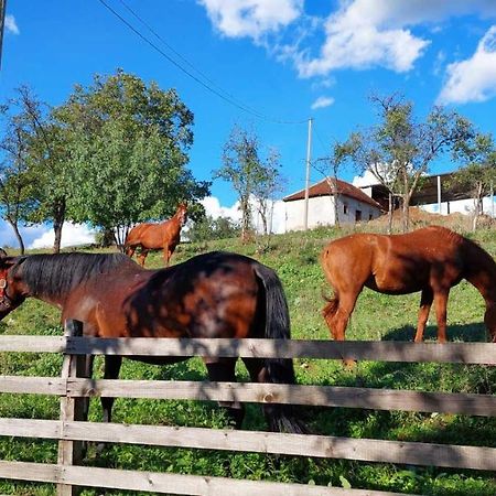 Poljoprivredno Turisticko Domacinstvo Deguric Apartamento Valjevo Exterior foto