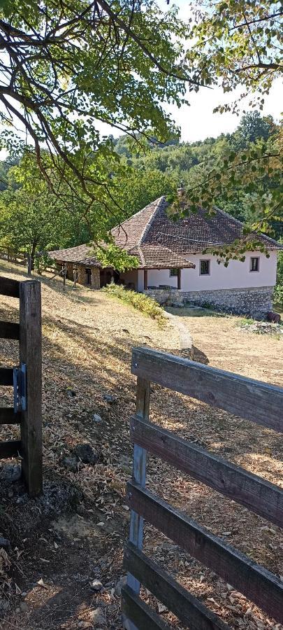Poljoprivredno Turisticko Domacinstvo Deguric Apartamento Valjevo Exterior foto