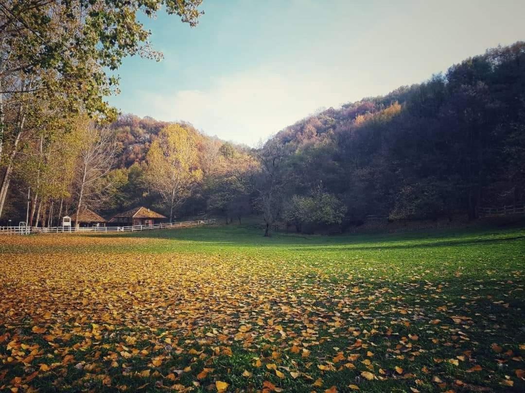 Poljoprivredno Turisticko Domacinstvo Deguric Apartamento Valjevo Exterior foto