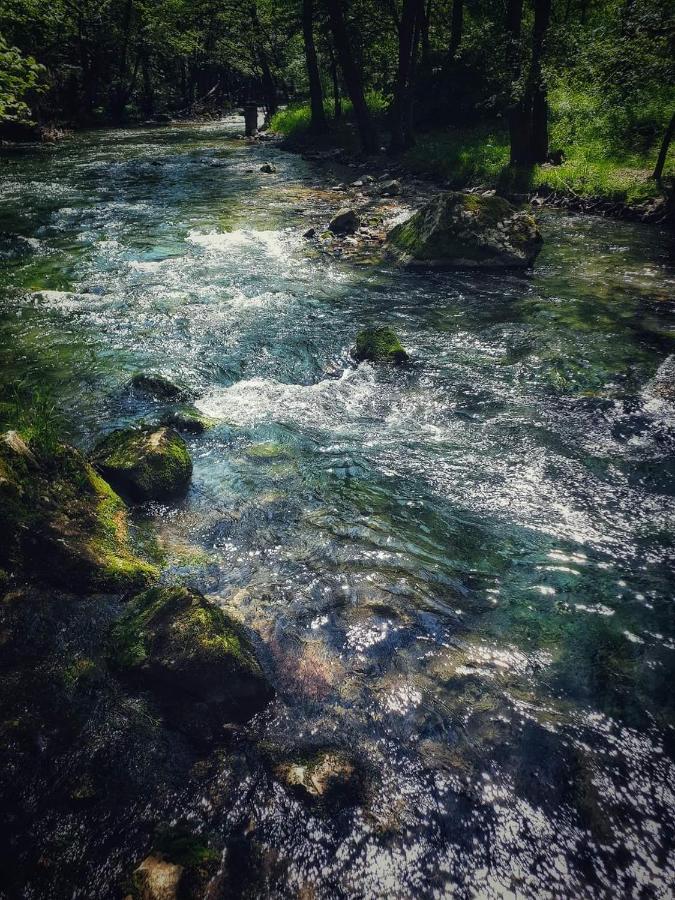 Poljoprivredno Turisticko Domacinstvo Deguric Apartamento Valjevo Exterior foto