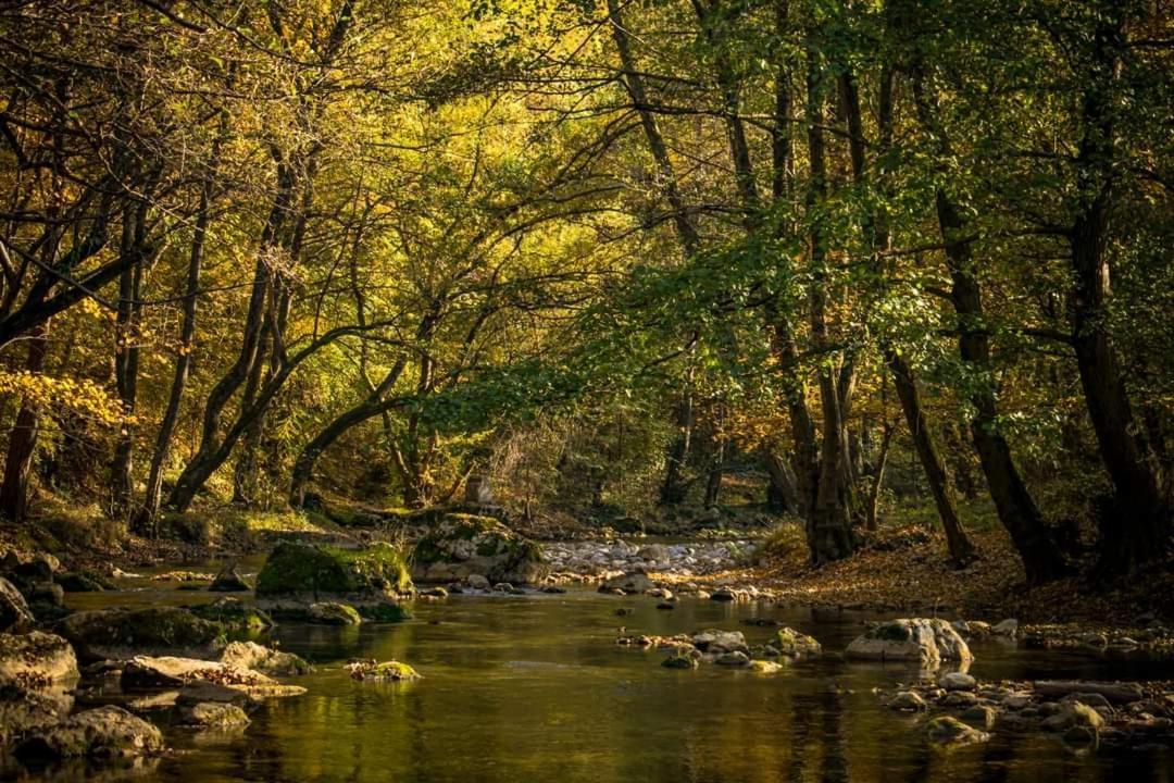 Poljoprivredno Turisticko Domacinstvo Deguric Apartamento Valjevo Exterior foto