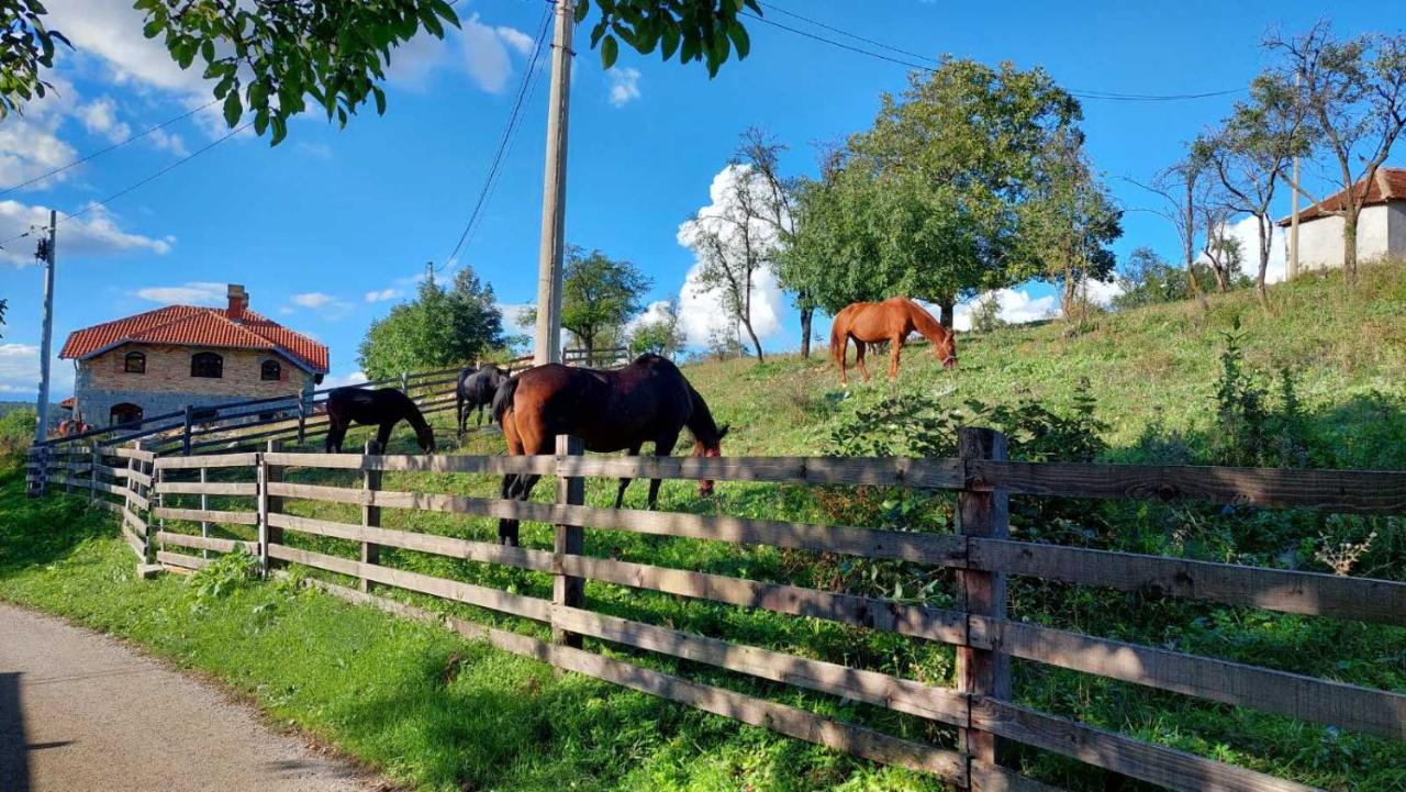 Poljoprivredno Turisticko Domacinstvo Deguric Apartamento Valjevo Exterior foto